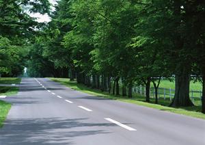 川崎で車検ならコバック宮崎台店がおすすめです