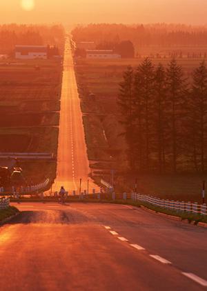 神奈川の専門店でタイヤ交換をすることで